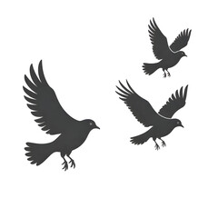 Obraz premium Three silhouettes of birds in flight peaceful scene