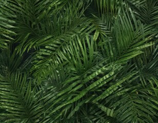 Intricate palm leaf texture, vibrant green hues, tropical detail ,  spring,  vibrant,  natural