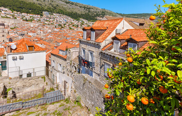 Dubrovnik old town. Croatia