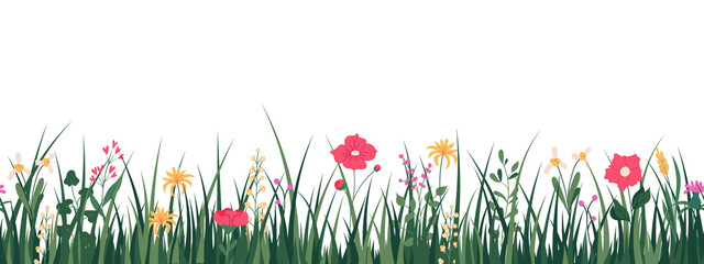 Horizontal seamless banner decorated with blooming flowers and grass. Spring floral backdrop. Illustration on transparent background