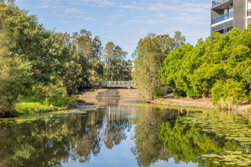 A view of an urban landscaped canal surrounded by large trees and with lily pads floating amongst the reflections in the water below a weir and footbridge on the Gold Coast in Queensland, Australia.