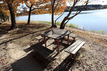 湖畔の紅葉した木々とベンチとテーブル