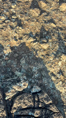 Textured Stone Surface: A Close-Up View of Rough Rock Formation with Diverse Colors and Patterns Under Natural Light