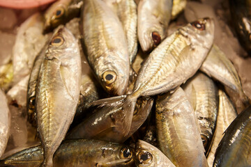 Fresh Purplespot bigeye for sale in market