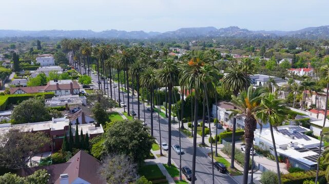 Aerial View of Palm-Lined Residential Street in Beverly Hills, Los Angeles