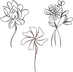 Three Elegant Minimalist Line Art Flower Drawings