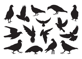 Dove vector, Dove Clipart, Dove silhouette