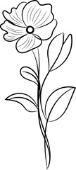 Simple Line Drawing of a Single Elegant Flower with Leaves