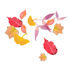Autumn Leaves