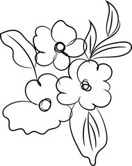 Simple Line Drawing of Flowers and Leaves Botanical Illustration