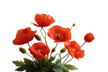 Obraz premium [Transparent Background PNG]Beautiful Bouquet of Red Poppies