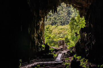 Opening of Cueva de las Lechuzas (Owl Cave) near Tingo Maria town, Peru