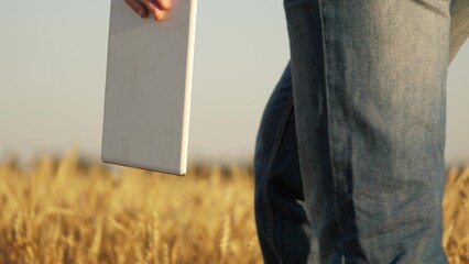 person holding white tablet field. person wearing blue jeans. field full tall grass, Innovation...