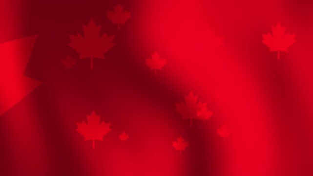 Red maple leaves on a red background. Suitable for fallthemed designs, autumn promotions, naturerelated projects, seasonal social media posts.