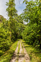 Fototapeta premium Gravel path near Cueva de las Lechuzas (Owl Cave) near Tingo Maria town, Peru