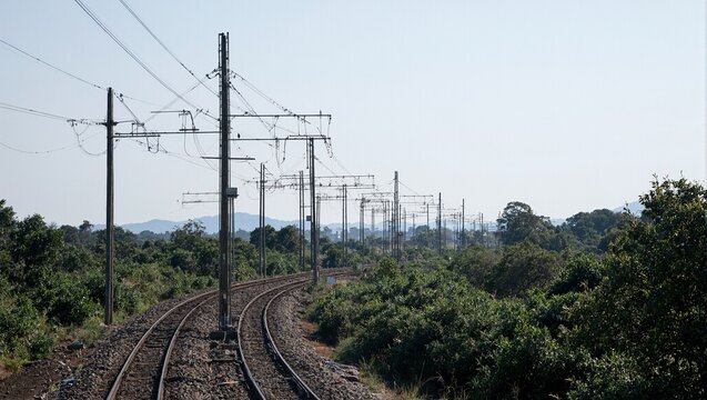 Parallel poles and tracks curve