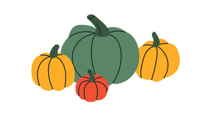 Pumpkin harvest. October vegetables, fall seasonal crops, natural agriculture food. Traditional autumn decoration for Halloween holiday. Flat vector illustration isolated on white background