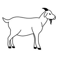 vector illustration of a sheep