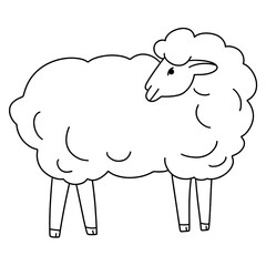 vector illustration of a sheep