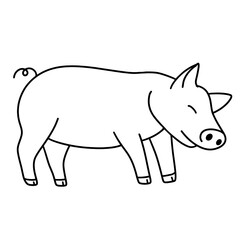 pig vector illustration