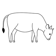 cow vector illustration