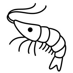 vector illustration of shrimp