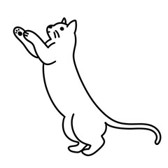 cat vector illustration