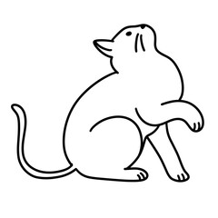cat vector illustration