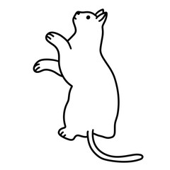 cat vector illustration