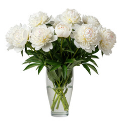 Bouquet of white peonies in a glass vase isolated on transparent background