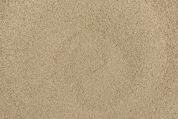 Fototapeta premium Dry Yeast Granules Textured Background Top View.