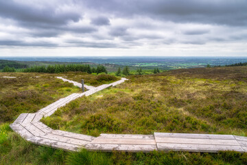 A peaceful and serene wooden walkway gracefully meanders through a lush and verdant landscape, Slieve Bloom, offering breathtaking panoramic views beneath a dramatic, cloud filled sky, Ireland