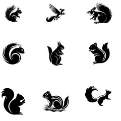 Squirrel vector  logo 3