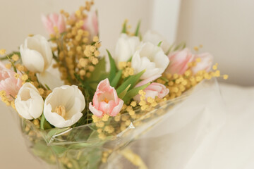 Elegant bouquet of white and pink tulips with yellow mimosa flowers in an interior setting. Fresh spring bloom for holiday celebration.