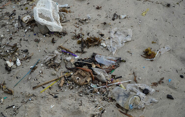 Litter and Marine Debris Contaminating Sandy Beach Shoreline in Coastal Environment