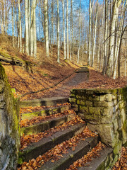 Tranquil autumn park. Stone path leads up gentle slope, flanked by bare trees and vibrant fallen...