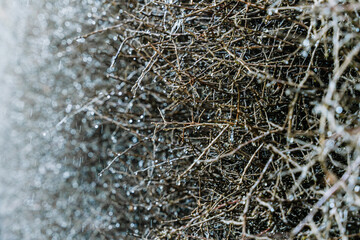Raindrops on Twigs in Close-Up View During Rain
