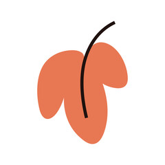 Stylized orange autumn falling leaf, simple illustration of natural foliage