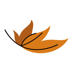Minimalist orange autumn falling leaf, simple illustration of natural foliage