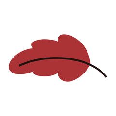 Vibrant red autumn falling leaf, simple illustration of natural foliage