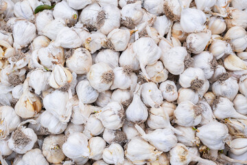 a bunch of garlic in the market