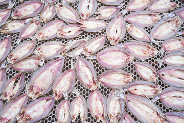 A dried fish on background