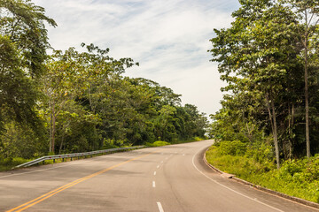 5N road in the Amazon forest of Huanuco region, Peru