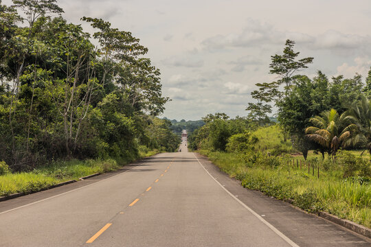5N road in the Amazon forest of Huanuco region, Peru