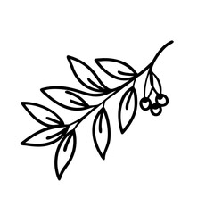hand drawn sketch botanical branch Outline Icon