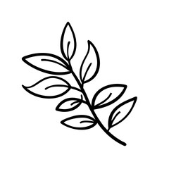 hand drawn sketch botanical branch Outline Icon