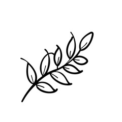 hand drawn sketch botanical branch Outline Icon