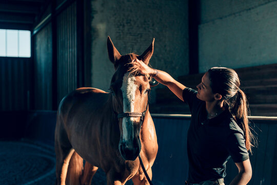Veterinarian examining beautiful horse inside stable - Powered by Adobe