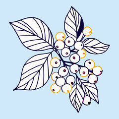 White and Yellow Berries Branch Illustration
