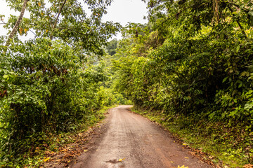 Obraz premium Unpaved 5NA road between Codo de Pozuzo and Pozuzo in Pozuzo river valley, Peru